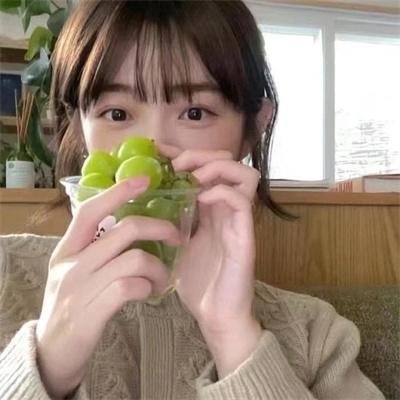 再见了,亲爱的总统
